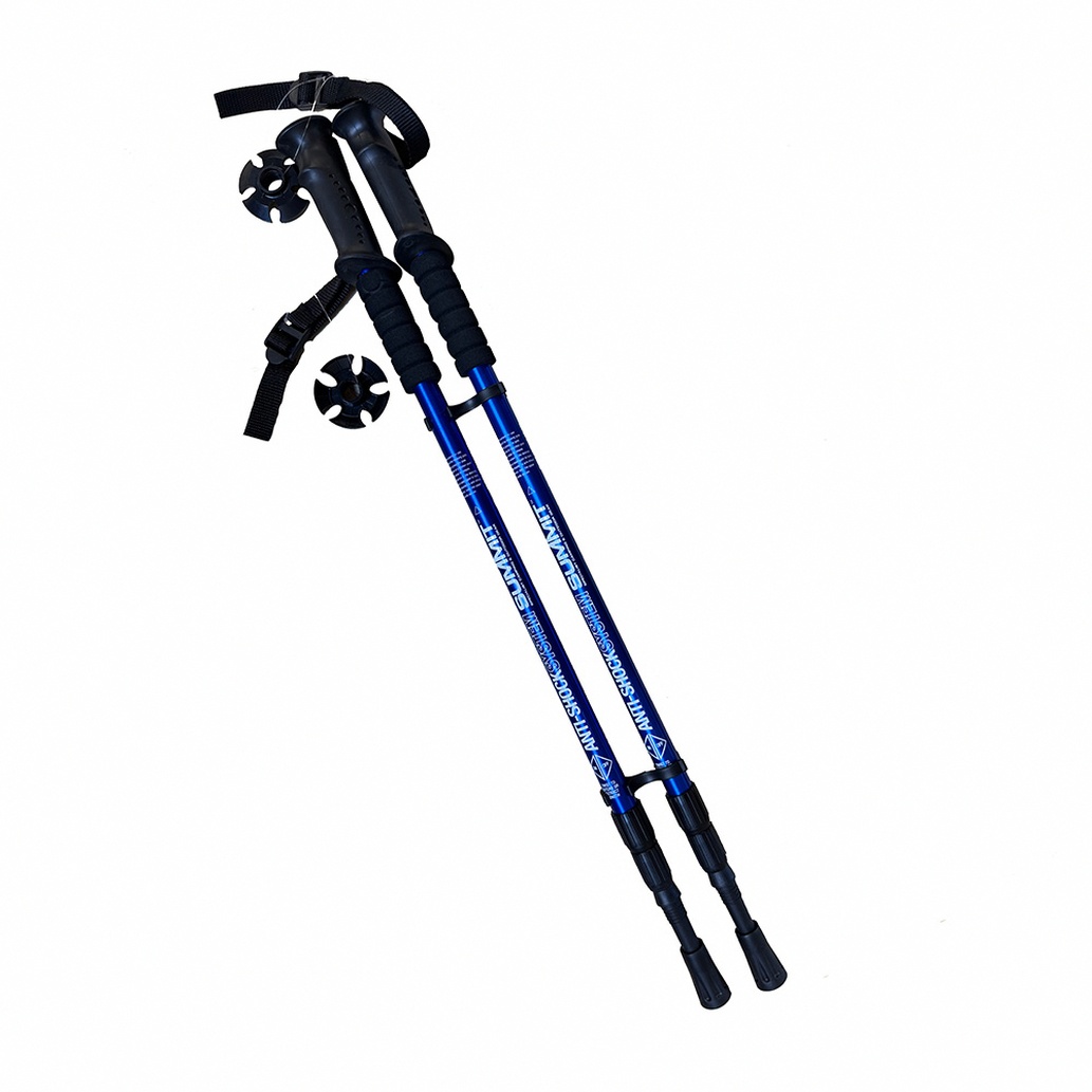 Skandinavisch Carbon Wanderstock Pro